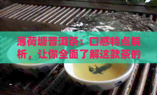 薄荷塘普洱茶：口感特点解析，让你全面了解这款茶的魅力