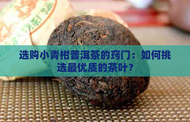 选购小青柑普洱茶的窍门：如何挑选更优质的茶叶？