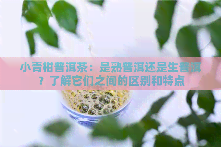 小青柑普洱茶：是熟普洱还是生普洱？了解它们之间的区别和特点