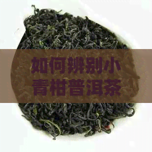 如何辨别小青柑普洱茶的好坏：判断方法与关键细节