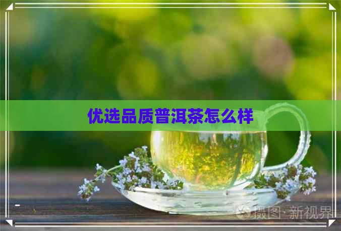 优选品质普洱茶怎么样