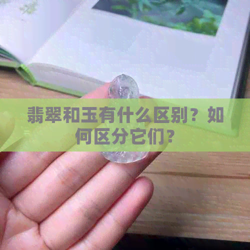 翡翠和玉有什么区别？如何区分它们？