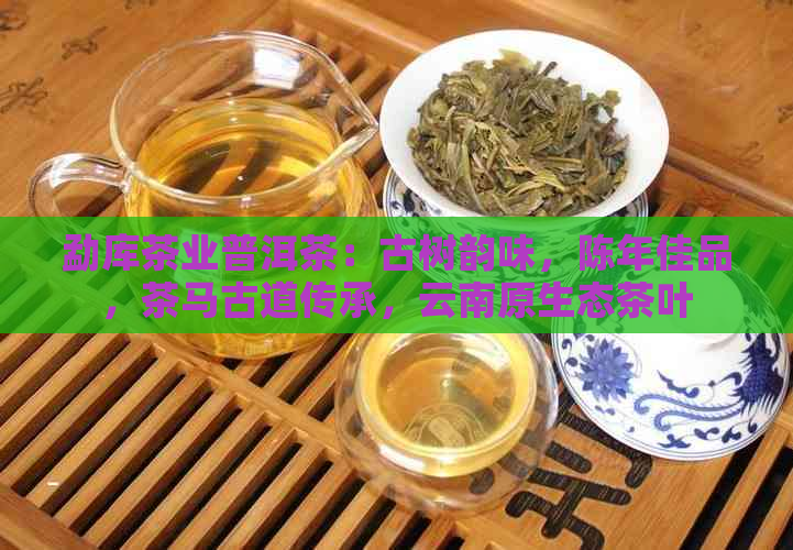 勐库茶业普洱茶：古树韵味，陈年佳品，茶马古道传承，云南原生态茶叶