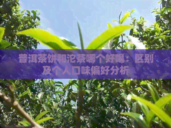 普洱茶饼和沱茶哪个好喝：区别及个人口味偏好分析