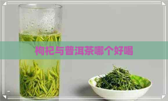 枸杞与普洱茶哪个好喝