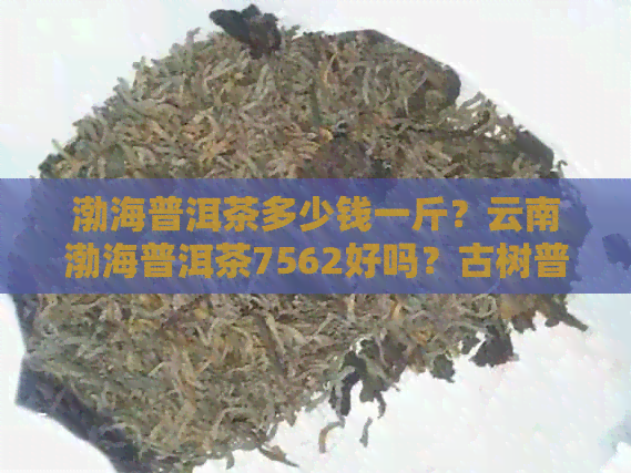 渤海普洱茶多少钱一斤？云南渤海普洱茶7562好吗？古树普洱茶价格表