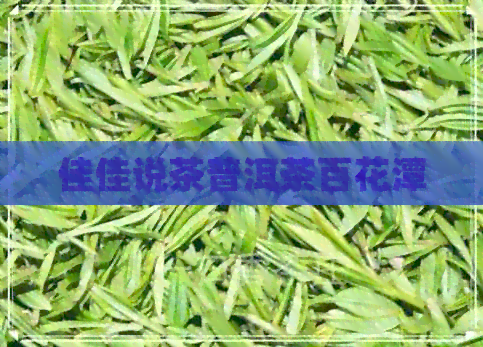 佳佳说茶普洱茶百花潭