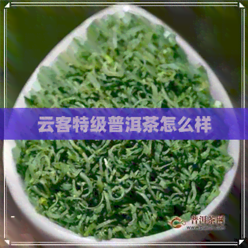 云客特级普洱茶怎么样