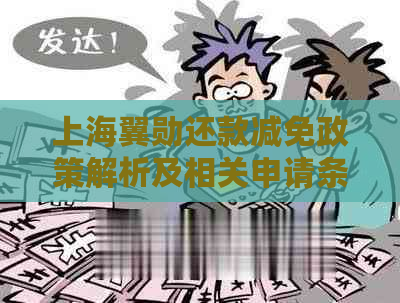 上海翼勋还款减免政策解析及相关申请条件，用户全面了解指南