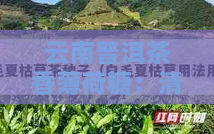 云南普洱茶香薄荷糖：清新口气的天然糖果