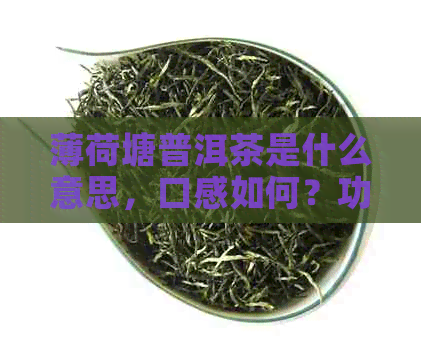 薄荷塘普洱茶是什么意思，口感如何？功效与作用是什么？