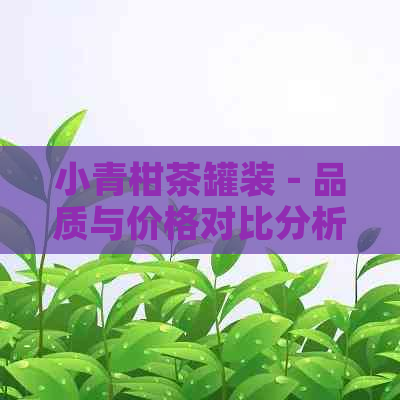 小青柑茶罐装 - 品质与价格对比分析