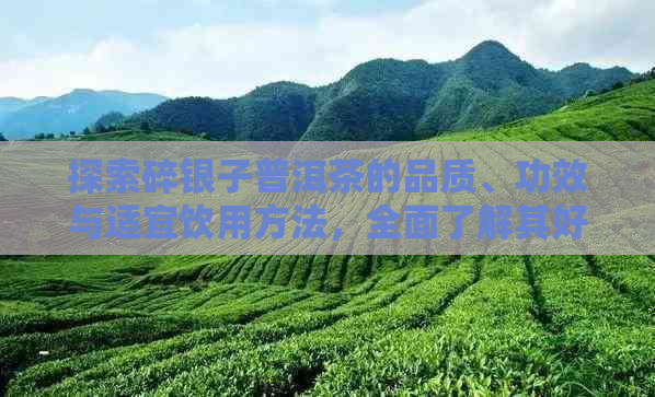 探索碎银子普洱茶的品质、功效与适宜饮用方法，全面了解其好坏之处