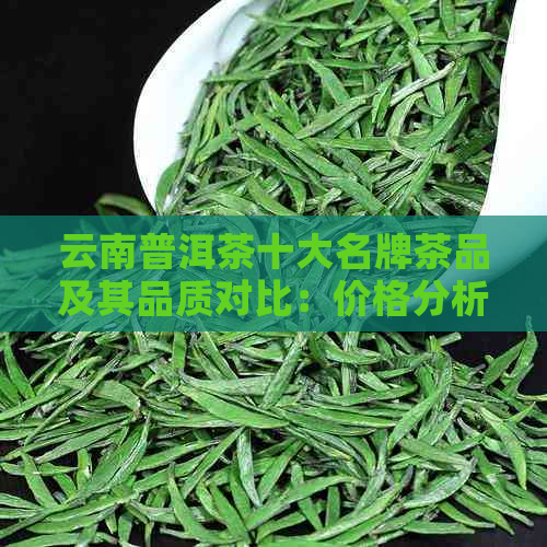 云南普洱茶十大名牌茶品及其品质对比：价格分析与推荐