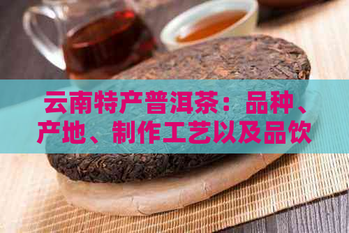 云南特产普洱茶：品种、产地、制作工艺以及品饮方法的全面解析