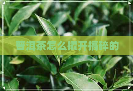 普洱茶怎么撬开搞碎的