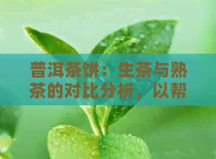 普洱茶饼：生茶与熟茶的对比分析，以帮助您选择最适合您的茶叶