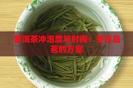 普洱茶冲泡度与时间：冬日品茗的方案