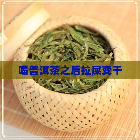 喝普洱茶之后拉屎变干