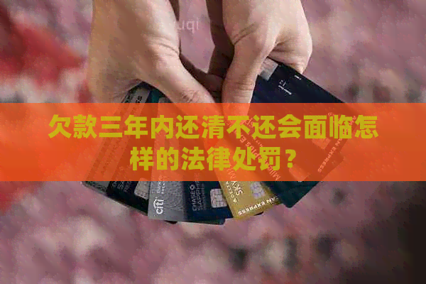 欠款三年内还清不还会面临怎样的法律处罚？