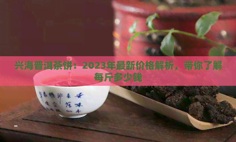 兴海普洱茶饼：2023年最新价格解析，带你了解每斤多少钱