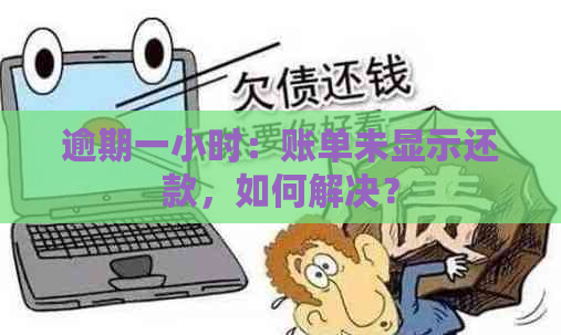 逾期一小时：账单未显示还款，如何解决？