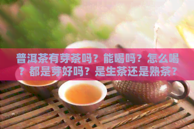 普洱茶有芽茶吗？能喝吗？怎么喝？都是芽好吗？是生茶还是熟茶？