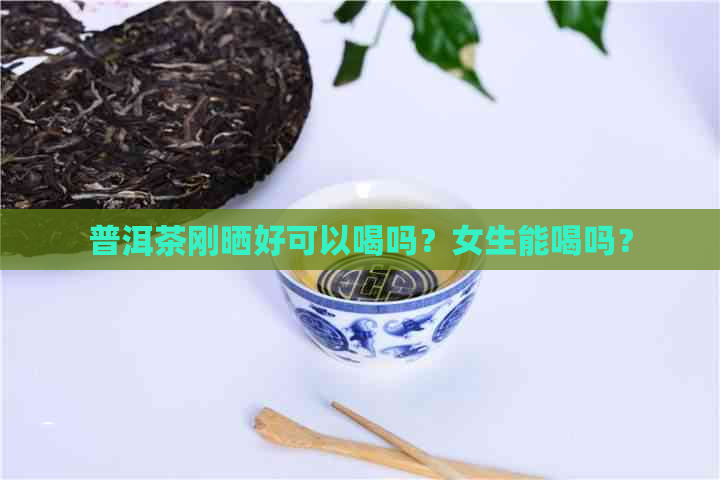 普洱茶刚晒好可以喝吗？女生能喝吗？