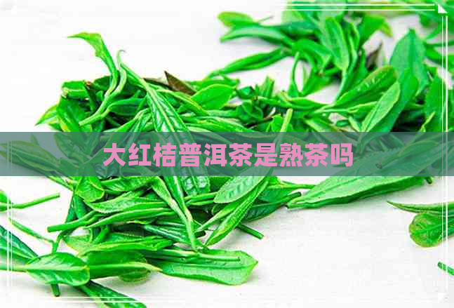 大红桔普洱茶是熟茶吗