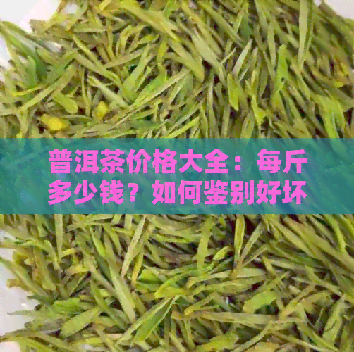 普洱茶价格大全：每斤多少钱？如何鉴别好坏？购买技巧大揭秘！