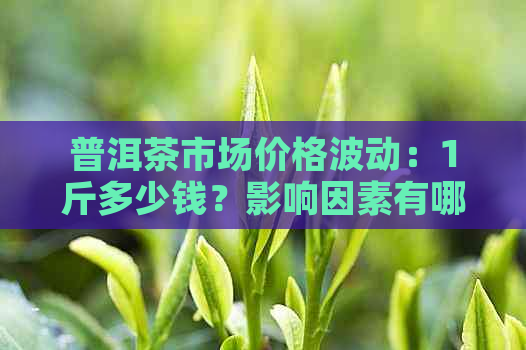 普洱茶市场价格波动：1斤多少钱？影响因素有哪些？