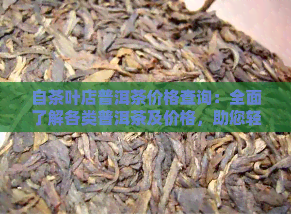 自茶叶店普洱茶价格查询：全面了解各类普洱茶及价格，助您轻松选购