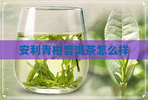 安利青柑普洱茶怎么样