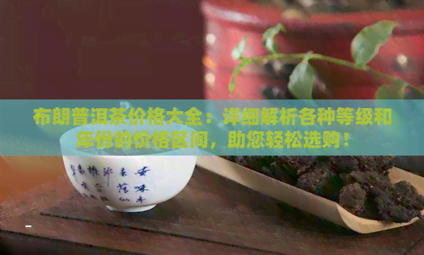 布朗普洱茶价格大全：详细解析各种等级和年份的价格区间，助您轻松选购！