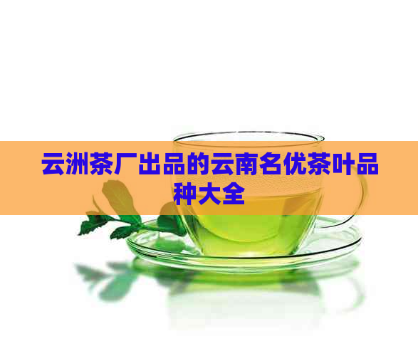 云洲茶厂出品的云南名优茶叶品种大全