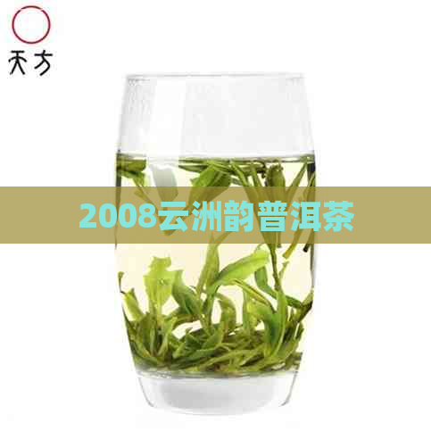 2008云洲韵普洱茶