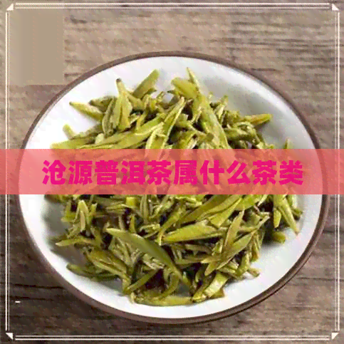 沧源普洱茶属什么茶类