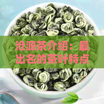 沧源茶介绍：最出名的茶叶特点与厂，古树茶及知名茶山一览