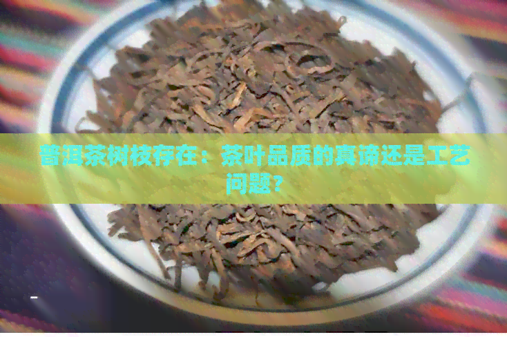 普洱茶树枝存在：茶叶品质的真谛还是工艺问题？