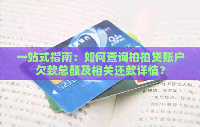 一站式指南：如何查询账户欠款总额及相关还款详情？