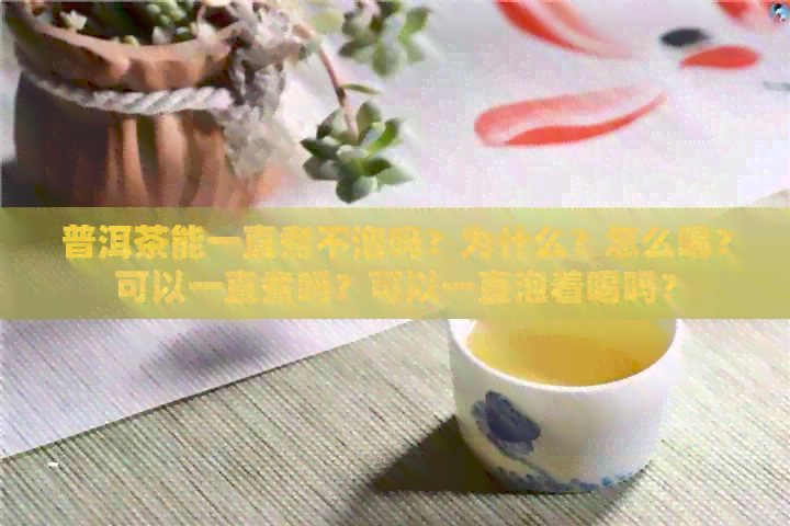 普洱茶能一直煮不泡吗？为什么？怎么喝？可以一直煮吗？可以一直泡着喝吗？