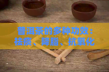 普洱茶的多种功效：祛痰、降脂、抗氧化等，如何选择适合自己的普洱茶？