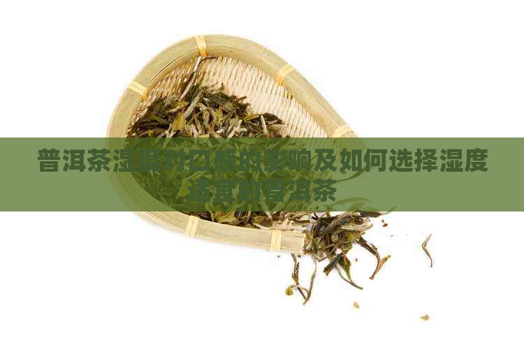 普洱茶湿度对口感的影响及如何选择湿度适宜的普洱茶