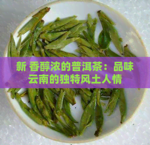 新 香醇浓的普洱茶：品味云南的独特风土人情