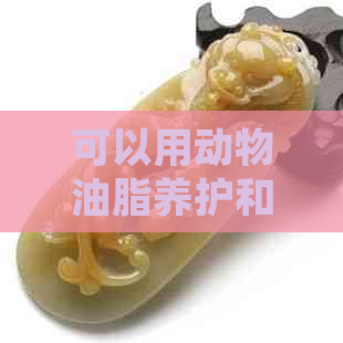 可以用动物油脂养护和田玉吗？