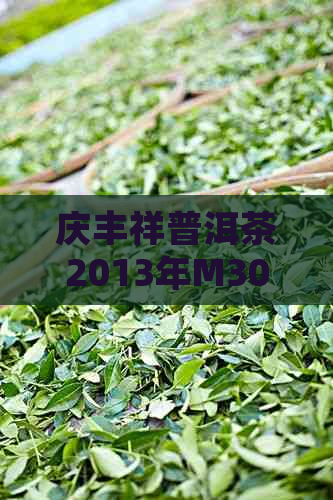 庆丰祥普洱茶2013年M301品种及价格表，详细了解该茶叶的等级、产地等信息。