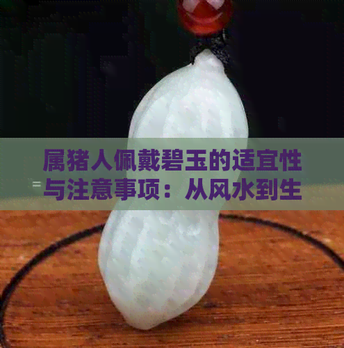 属猪人佩戴碧玉的适宜性与注意事项：从风水到生肖角度的全面解析