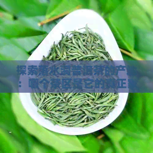 探索落水洞普洱茶的产地：哪个茶区是它的真正家园？