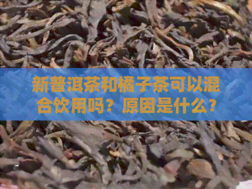 新普洱茶和橘子茶可以混合饮用吗？原因是什么？