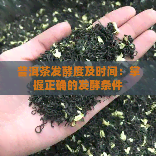 普洱茶发酵度及时间：掌握正确的发酵条件